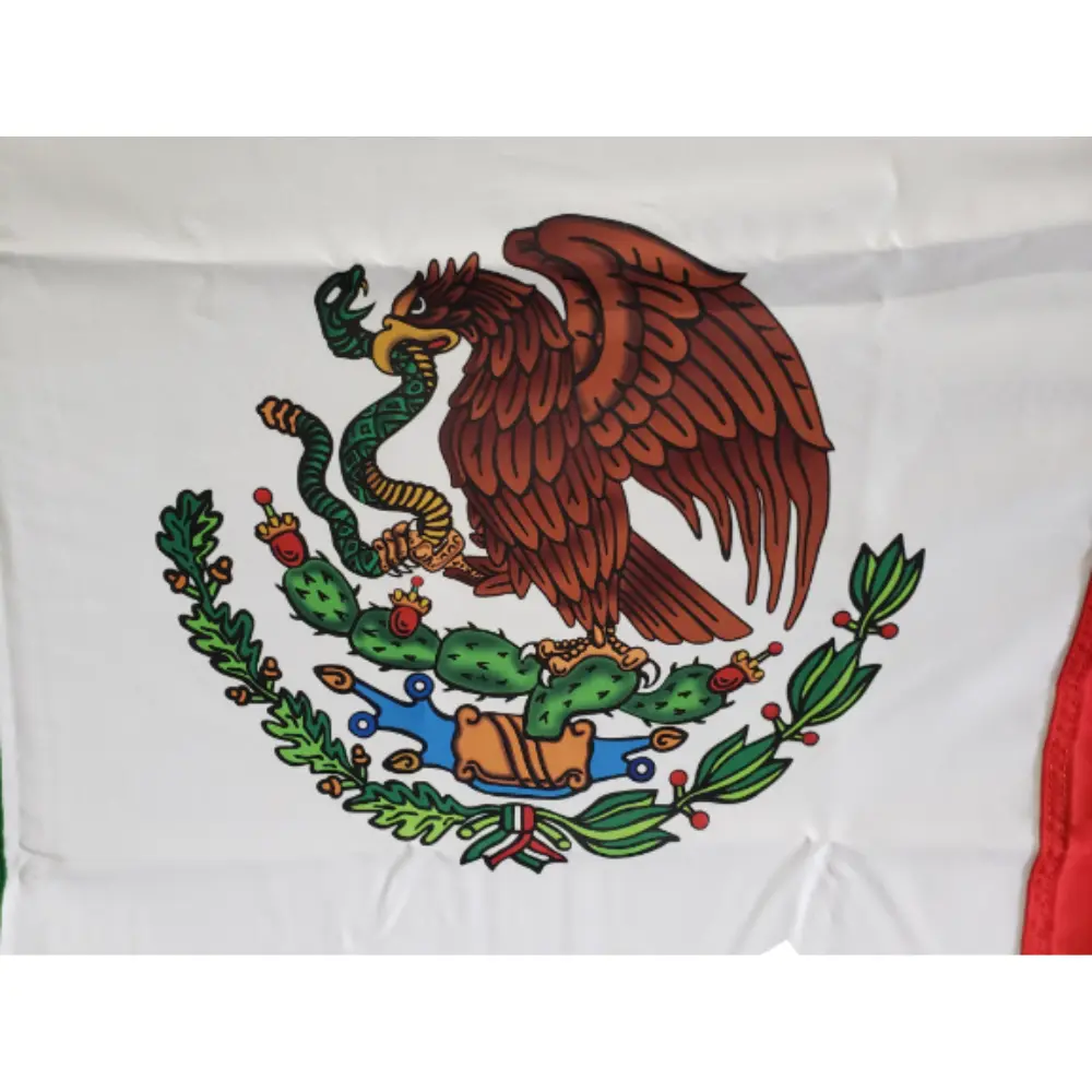 Bandera para exterior en tela tergal resistente para uso institucional - Imagen 3