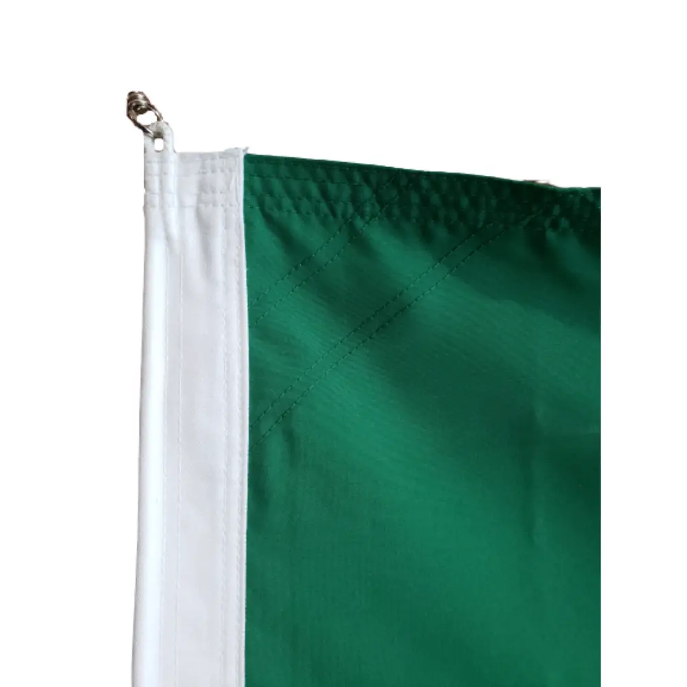 Bandera para exterior en tela tergal resistente para uso institucional - Imagen 2